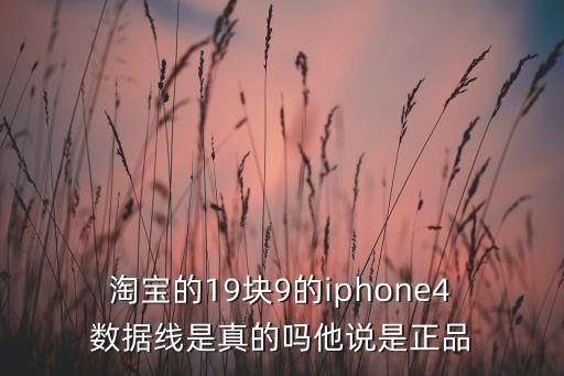 淘寶的19塊9的iphone4 數(shù)據(jù)線是真的嗎他說是正品
