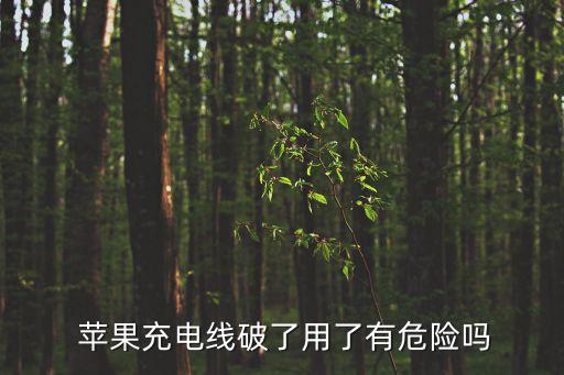 蘋(píng)果數(shù)據(jù)線爆開(kāi)還用嗎,蘋(píng)果怎么用數(shù)據(jù)線開(kāi)熱點(diǎn)