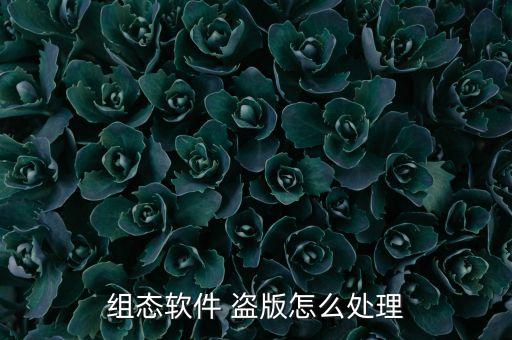 組態(tài)軟件 盜版怎么處理
