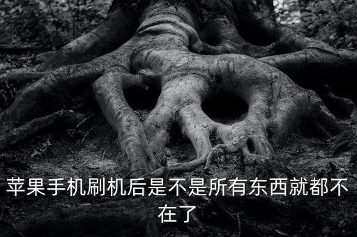 蘋(píng)果手機(jī)刷機(jī)后是不是所有東西就都不在了