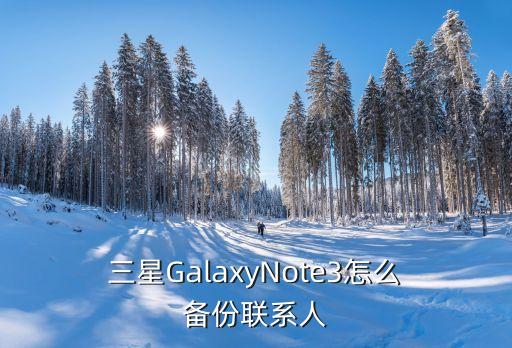  三星GalaxyNote3怎么 備份聯(lián)系人