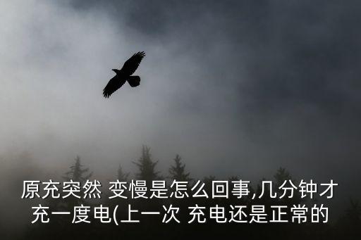 原充突然 變慢是怎么回事,幾分鐘才充一度電(上一次 充電還是正常的