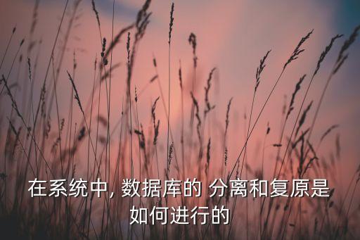 在系統(tǒng)中, 數(shù)據(jù)庫的 分離和復原是如何進行的