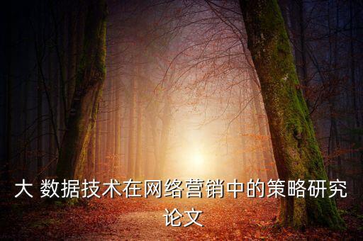 大 數(shù)據(jù)技術(shù)在網(wǎng)絡(luò)營銷中的策略研究 論文