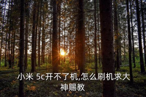  小米 5c開不了機(jī),怎么刷機(jī)求大神賜教
