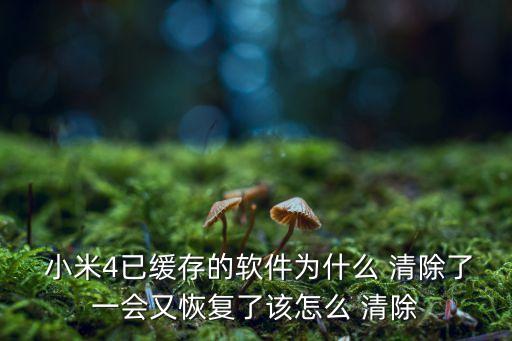  小米4已緩存的軟件為什么 清除了一會又恢復(fù)了該怎么 清除