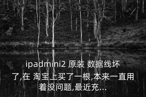 淘寶的蘋果原裝數(shù)據(jù)線,淘寶上的蘋果數(shù)據(jù)線到底是不是正品的?