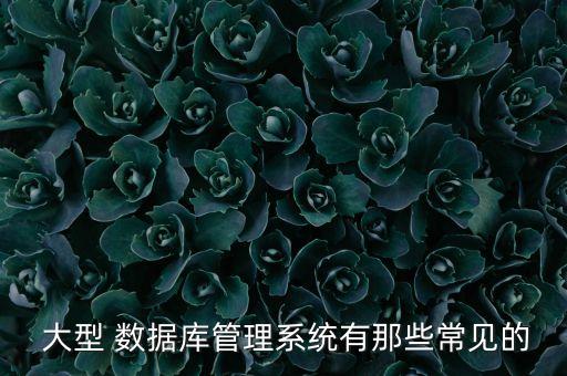 大型網(wǎng)站常用的數(shù)據(jù)庫,網(wǎng)站常用的數(shù)據(jù)庫一般有
