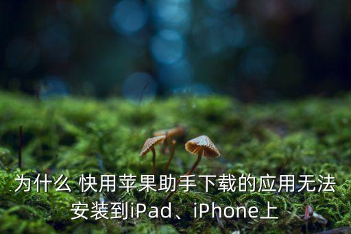 為什么 快用蘋果助手下載的應(yīng)用無法安裝到iPad、iPhone上