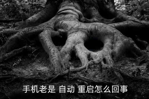  手機老是 自動 重啟怎么回事