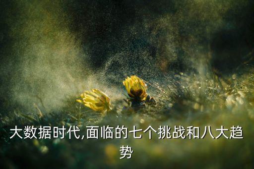 大數(shù)據(jù)智慧城市的智慧引擎閱讀答案