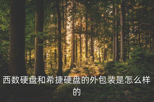 西數(shù)硬盤和希捷硬盤的外包裝是怎么樣的
