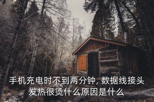 手機(jī)充電時(shí)不到兩分鐘, 數(shù)據(jù)線接頭發(fā)熱很燙什么原因是什么