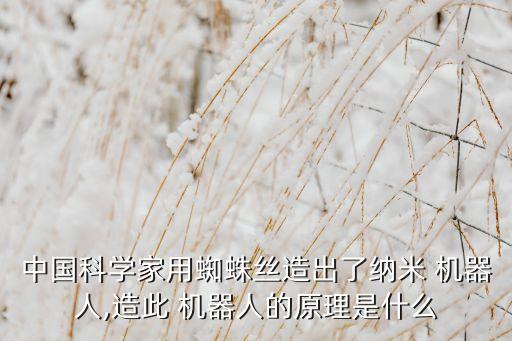 中國科學(xué)家用蜘蛛絲造出了納米 機(jī)器人,造此 機(jī)器人的原理是什么