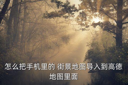 怎么把手機(jī)里的 街景地圖導(dǎo)入到高德地圖里面