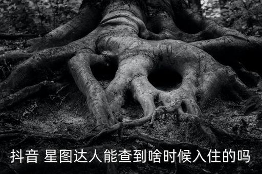 抖音 星圖達(dá)人能查到啥時(shí)候入住的嗎