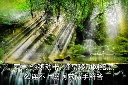 蘋果 5s移動(dòng)卡, 蜂窩移動(dòng)網(wǎng)絡(luò)怎么連不上網(wǎng)啊求高手解答