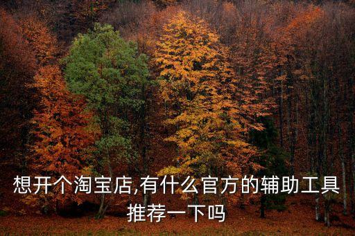 想開個(gè)淘寶店,有什么官方的輔助工具推薦一下嗎