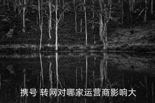  攜號(hào) 轉(zhuǎn)網(wǎng)對(duì)哪家運(yùn)營(yíng)商影響大