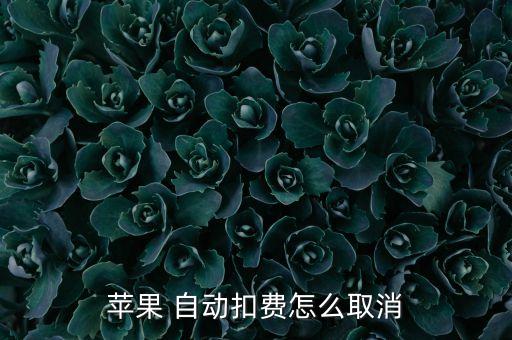 app store 自動付款