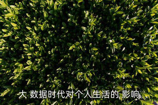 大 數(shù)據(jù)時(shí)代對(duì)個(gè)人生活的 影響