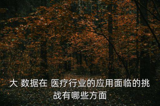 大 數(shù)據(jù)在 醫(yī)療行業(yè)的應(yīng)用面臨的挑戰(zhàn)有哪些方面
