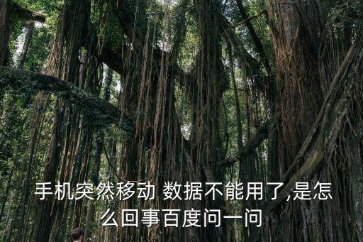  手機(jī)突然移動(dòng) 數(shù)據(jù)不能用了,是怎么回事百度問(wèn)一問(wèn)