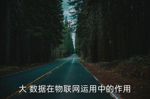 大 數(shù)據(jù)在物聯(lián)網(wǎng)運(yùn)用中的作用