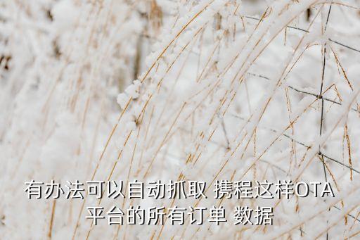 有辦法可以自動抓取 攜程這樣OTA平臺的所有訂單 數(shù)據(jù)