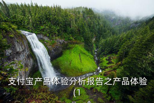  支付寶產(chǎn)品體驗(yàn)分析報(bào)告之產(chǎn)品體驗(yàn)(1