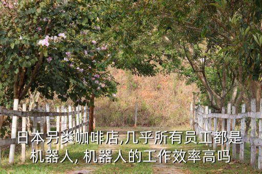 餐廳機(jī)器人亂象,機(jī)器人餐廳創(chuàng)業(yè)計劃書