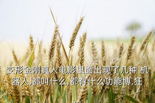 巨形機(jī)器人大戰(zhàn),機(jī)器人大戰(zhàn)f完結(jié)篇攻略詳細(xì)