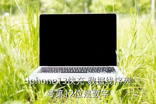 iphone 數(shù)據(jù)線 編碼