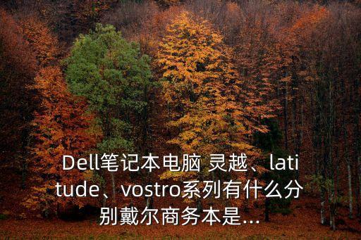 Dell筆記本電腦 靈越、latitude、vostro系列有什么分別戴爾商務本是...