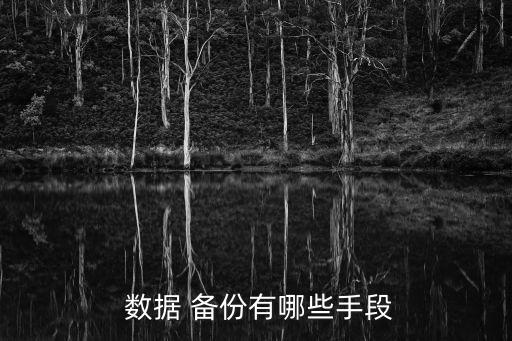 數(shù)據(jù)備份的不同策略方法及特點(diǎn)