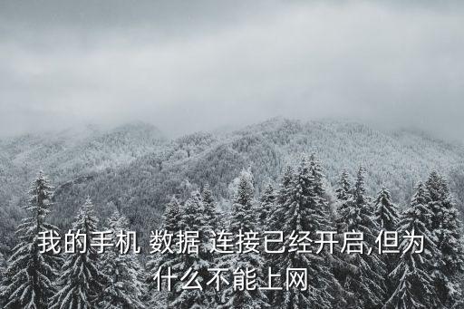 我的手機(jī) 數(shù)據(jù) 連接已經(jīng)開(kāi)啟,但為什么不能上網(wǎng)