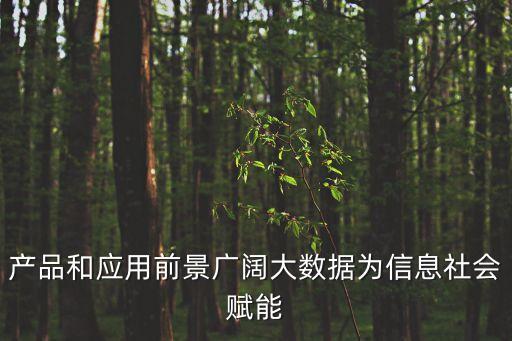 產(chǎn)品和應用前景廣闊大數(shù)據(jù)為信息社會賦能