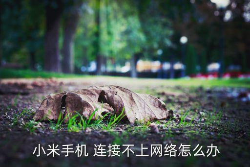 小米設(shè)置移動數(shù)據(jù)連接不上去,小米12X移動數(shù)據(jù)一直提示無法連接服務(wù)器