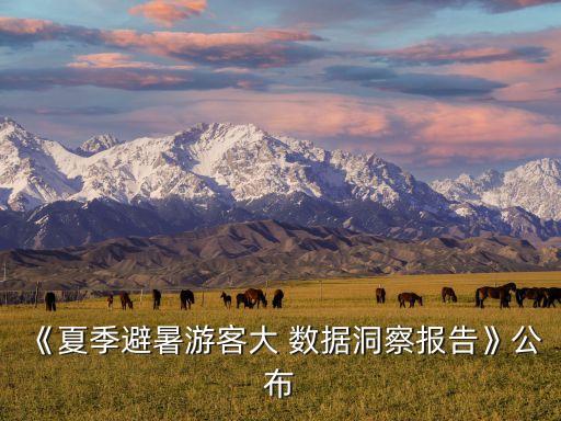 2017 大數(shù)據(jù)峰會,杭州2017年開什么峰會