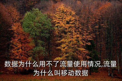 移動數(shù)據(jù)為什么用不了流量使用情況,流量為什么叫移動數(shù)據(jù)