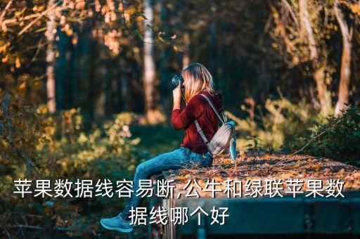 公牛蘋果數(shù)據(jù)線容易斷,公牛和綠聯(lián)蘋果數(shù)據(jù)線哪個好