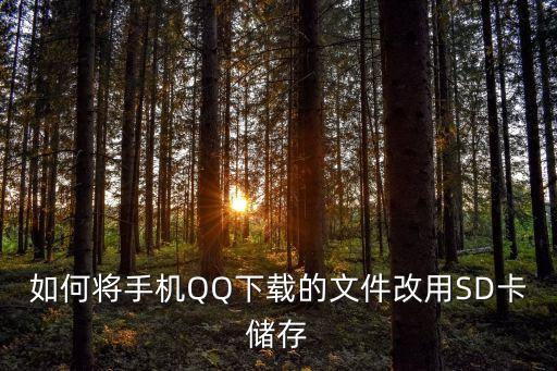 如何將手機(jī)QQ下載的文件改用SD卡儲存
