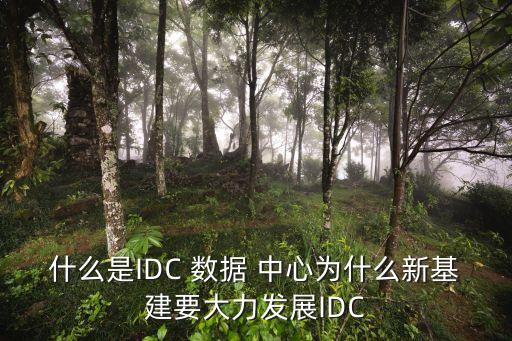 大數(shù)據(jù)物聯(lián)網(wǎng)中心,物聯(lián)網(wǎng)和大數(shù)據(jù)哪個(gè)更有前景
