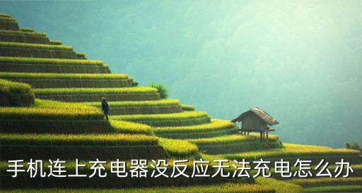 第三方數(shù)據(jù)線充不進電,小米11用第三方數(shù)據(jù)線沒有快充