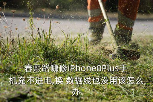 春熙路哪修iPhone8Plus手機(jī)充不進(jìn)電,換 數(shù)據(jù)線也沒用該怎么辦