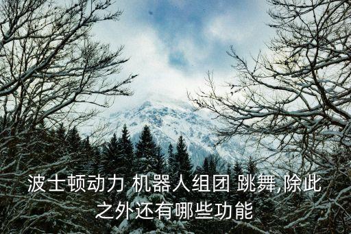 波士頓動(dòng)力 機(jī)器人組團(tuán) 跳舞,除此之外還有哪些功能