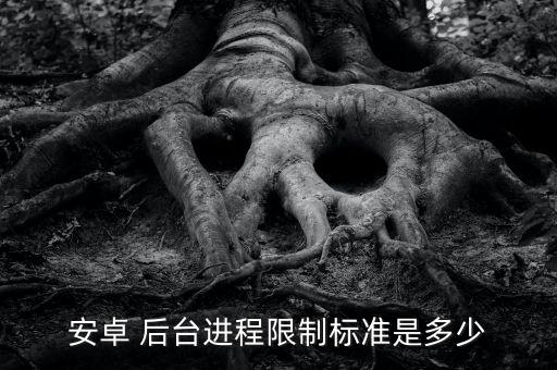 安卓 后臺進(jìn)程限制標(biāo)準(zhǔn)是多少
