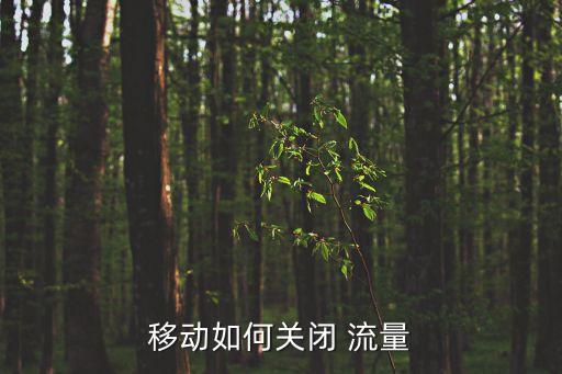 移動(dòng)如何關(guān)閉 流量