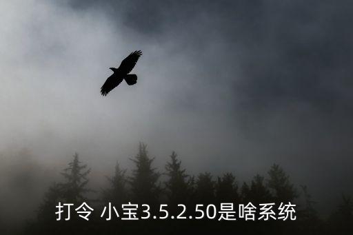打令 小寶3.5.2.50是啥系統(tǒng)