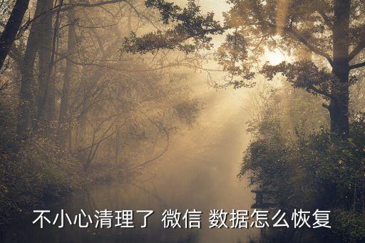 微信數(shù)據(jù)怎樣找回來嗎